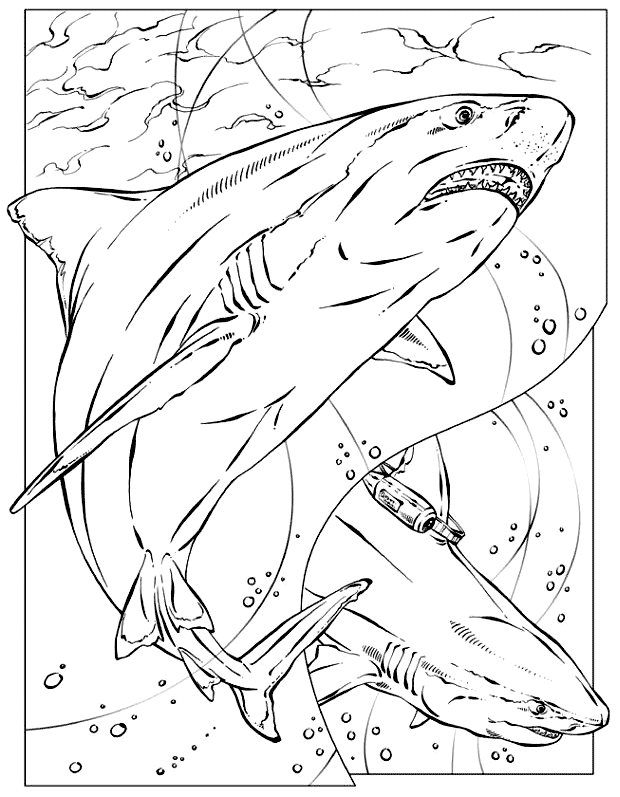desene de colorat rechin